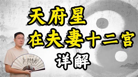 疾厄宮天府|紫微斗數【紫微星入疾厄宮】解析